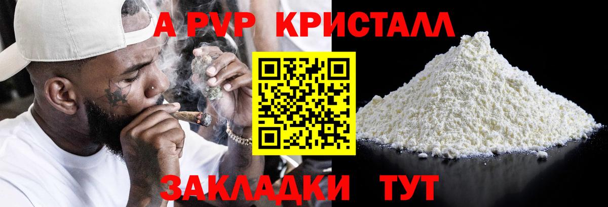 Alfa_PVP СК КРИС Новозыбков