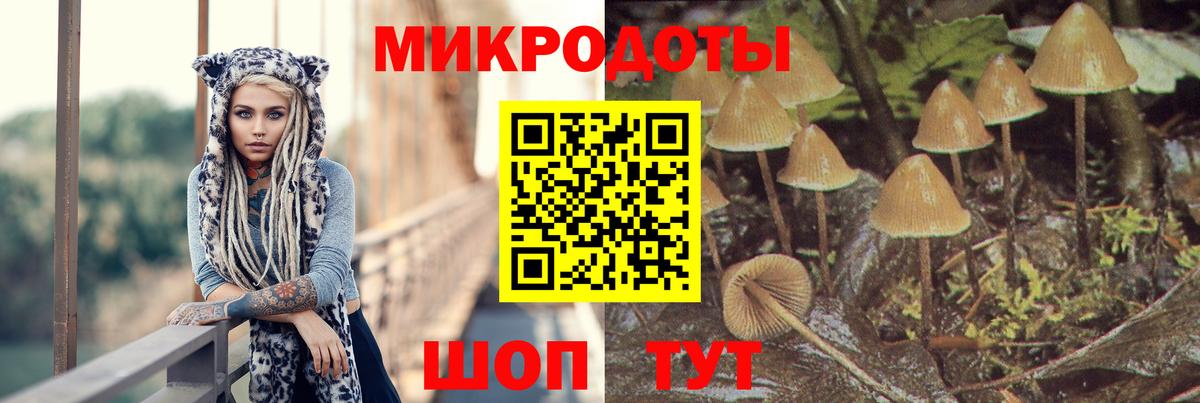 COCAIN  Меф кристаллы  Вход с VPN  Героин  Гашиш  Новозыбков  Купить закладку  Alpha PVP СОЛЬ кристаллы  Бошки Шишки  Экстази 